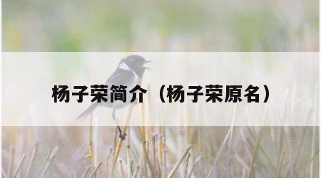 杨子荣简介（杨子荣原名）