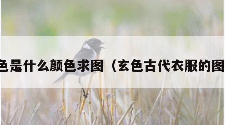 玄色是什么颜色求图（玄色古代衣服的图片）