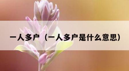 一人多户（一人多户是什么意思）