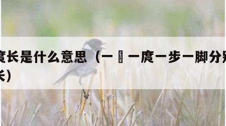 一庹长是什么意思（一拃一庹一步一脚分别是多长）