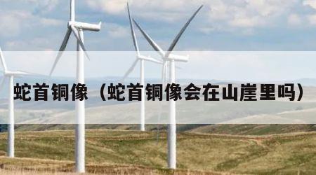 蛇首铜像（蛇首铜像会在山崖里吗）