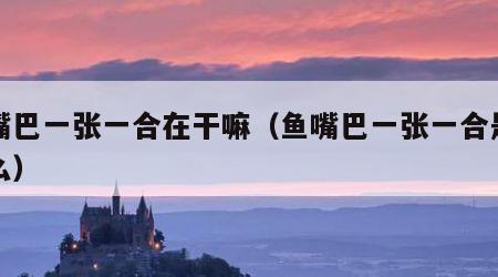 鱼嘴巴一张一合在干嘛（鱼嘴巴一张一合是干什么）