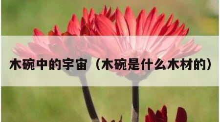 木碗中的宇宙（木碗是什么木材的）