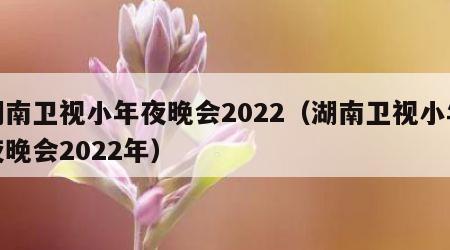 湖南卫视小年夜晚会2022（湖南卫视小年夜晚会2022年）