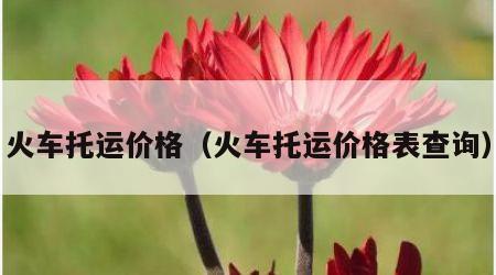火车托运价格（火车托运价格表查询）