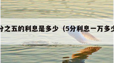 万分之五的利息是多少（5分利息一万多少钱）
