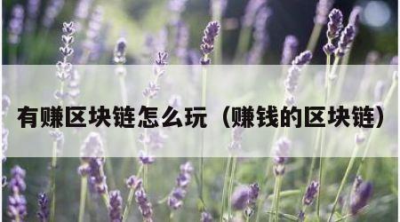有赚区块链怎么玩（赚钱的区块链）