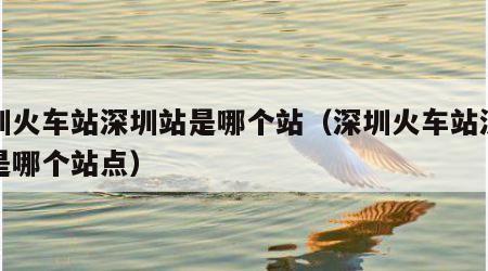 深圳火车站深圳站是哪个站（深圳火车站深圳站是哪个站点）