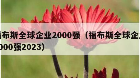 福布斯全球企业2000强（福布斯全球企业2000强2023）