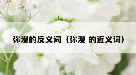弥漫的反义词（弥漫 的近义词）