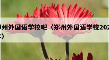 郑州外国语学校吧（郑州外国语学校2020年）