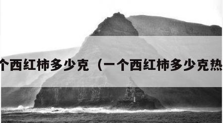 一个西红柿多少克（一个西红柿多少克热量）