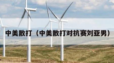 中美散打（中美散打对抗赛刘亚男）