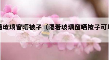 隔着玻璃窗晒被子（隔着玻璃窗晒被子可以吗）