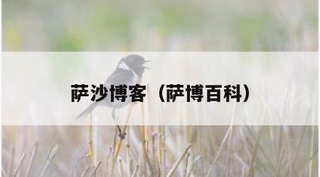 萨沙博客（萨博百科）