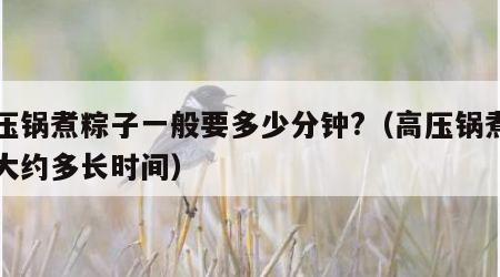高压锅煮粽子一般要多少分钟?（高压锅煮粽子大约多长时间）