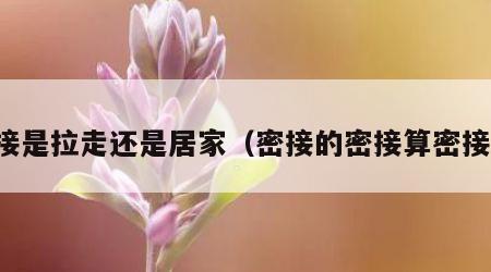 密接是拉走还是居家（密接的密接算密接吗）