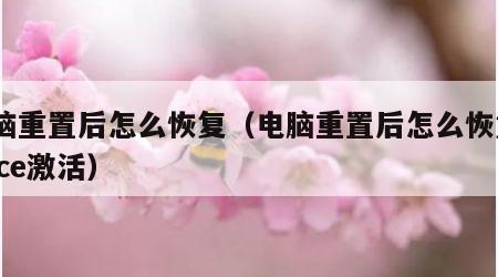 电脑重置后怎么恢复（电脑重置后怎么恢复office激活）