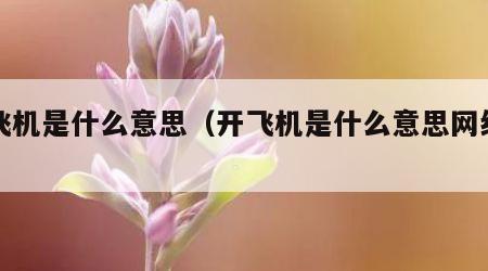 打飞机是什么意思（开飞机是什么意思网络用语）