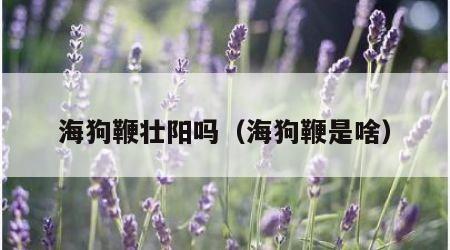 海狗鞭壮阳吗（海狗鞭是啥）