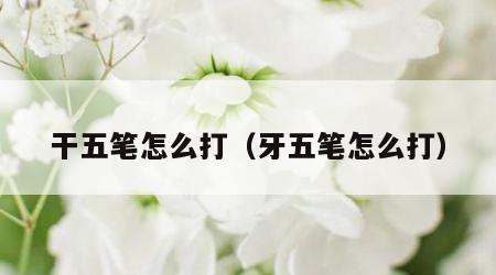 干五笔怎么打（牙五笔怎么打）