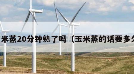 玉米蒸20分钟熟了吗（玉米蒸的话要多久）