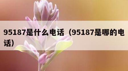 95187是什么电话（95187是哪的电话）