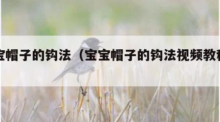 宝宝帽子的钩法（宝宝帽子的钩法视频教程全集）