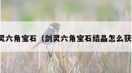剑灵六角宝石（剑灵六角宝石结晶怎么获得）