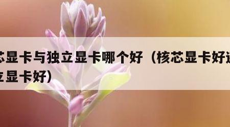 核芯显卡与独立显卡哪个好（核芯显卡好还是独立显卡好）