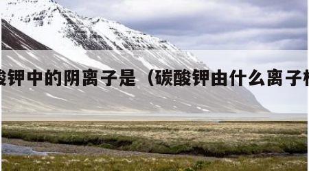 碳酸钾中的阴离子是（碳酸钾由什么离子构成）