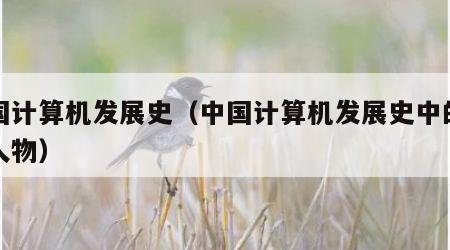 中国计算机发展史（中国计算机发展史中的杰出人物）