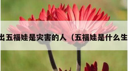 算出五福娃是灾害的人（五福娃是什么生肖）