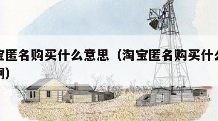 淘宝匿名购买什么意思（淘宝匿名购买什么意思啊）