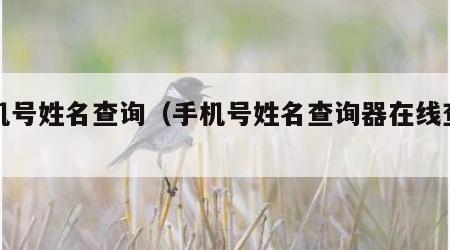 手机号姓名查询（手机号姓名查询器在线查询）