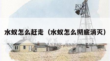 水蚁怎么赶走（水蚁怎么彻底消灭）