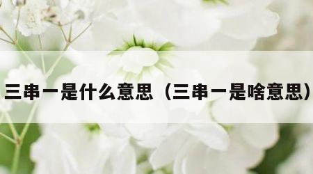 三串一是什么意思（三串一是啥意思）
