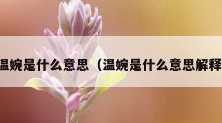 温婉是什么意思（温婉是什么意思解释）
