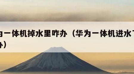华为一体机掉水里咋办（华为一体机进水了怎么办）