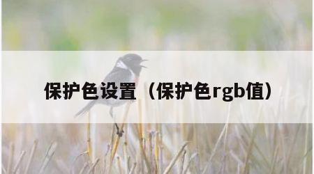 保护色设置（保护色rgb值）