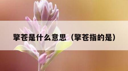 擎苍是什么意思（擎苍指的是）