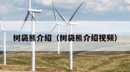 树袋熊介绍（树袋熊介绍视频）