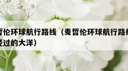 麦哲伦环球航行路线（麦哲伦环球航行路线依次经过的大洋）