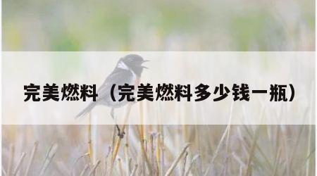 完美燃料（完美燃料多少钱一瓶）