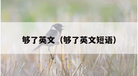 够了英文（够了英文短语）