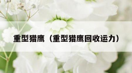 重型猎鹰（重型猎鹰回收运力）