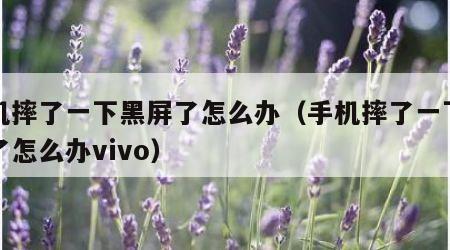 手机摔了一下黑屏了怎么办（手机摔了一下黑屏了怎么办vivo）