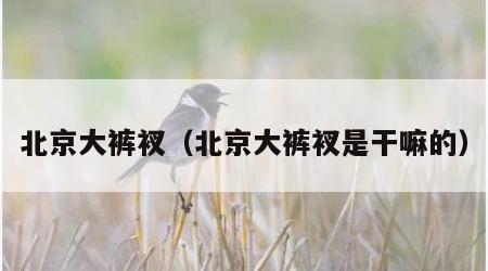 北京大裤衩（北京大裤衩是干嘛的）