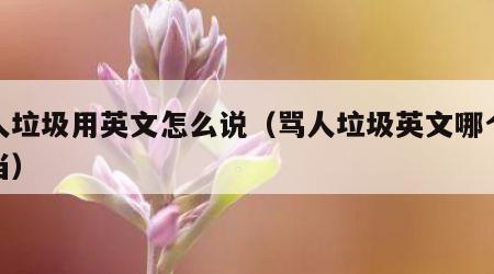 骂人垃圾用英文怎么说（骂人垃圾英文哪个最恰当）