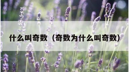 什么叫奇数（奇数为什么叫奇数）